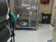 -安安宠医宠物医院·异宠·犬猫内科(岳阳分院)