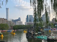 -团结湖公园