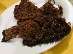 -特种渔场