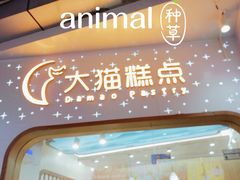 门面-大舞台文化旅游小吃街