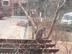 -天津东丽湖风景区