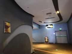 -万达影城(大明宫万达广场IMAX店)