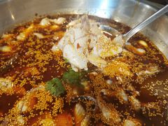 红汤鱼火锅-川渔居—鱼火锅(八方汇店)