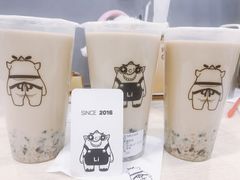 -茶力的小怪兽(梅林卓悦汇店)
