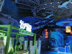 -烟台海昌鲸鲨海洋公园
