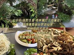 -西双版纳原始森林公园