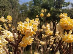 -芜湖方特东方神画