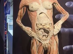 -生命奥秘博物馆