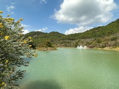 -广州白江湖森林公园