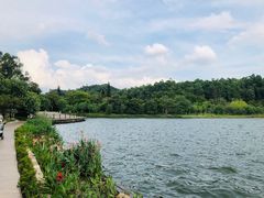 -南国桃园旅游度假区