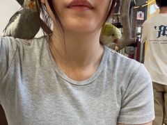 -深圳鸟咖鹦花岛