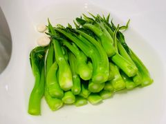 -临江·阅炉