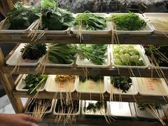 -袁记串串香(梁家巷店)