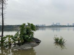 -海珠湖公园