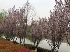 -西安汉城湖景区