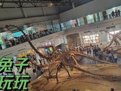-自贡恐龙博物馆