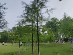 -滨湖塘西河公园