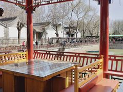-尚庄度假村·庭台树下·户外烧烤·团建CS·轰趴营地(上庄水库店)