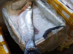 -众彩物流水产市场