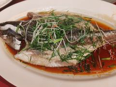 -美食汇·海鲜自助西餐厅·江门富力万达嘉华酒店