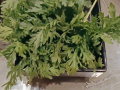 -享月汤皇(高新区店)