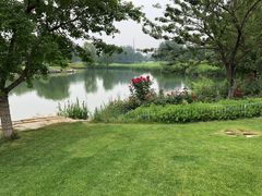 -万柳高尔夫俱乐部