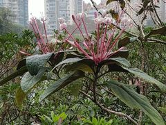 -晓港公园