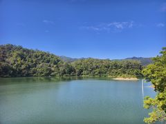 -佛山市三水区大南山森林公园
