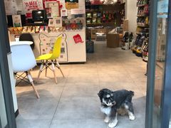 -帕帕拉兹宠物(亚洲旗舰店)