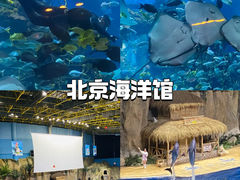-北京海洋馆