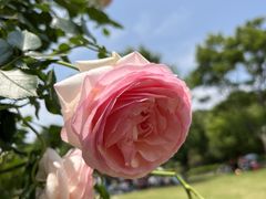 -牛岗山公园
