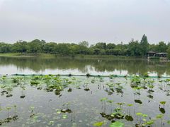 -湘湖大院(越王路店)