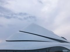 -哈尔滨大剧院
