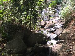 -广州市帽峰山景区
