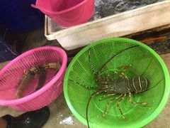 -班赞海鲜市场