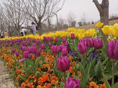 -苏州上方山国家森林公园