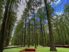 -渌洋湖湿地公园