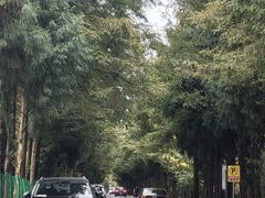 -山王坪喀斯特国家生态公园
