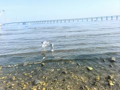 -汤姆熊欢乐世界(大连恒隆广场店)