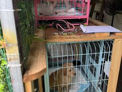 -英西峰林·洞天仙境