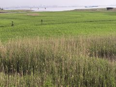 -小六农家乐(崇明西沙湿地店)