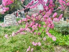 -陕西师范大学(雁塔校区)