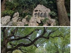 -申粤轩酒楼·三十年粤菜经典(丁香花园店)