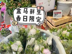 -盒马鲜生(顺义店)