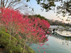 -桂林两江四湖景区