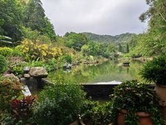 -深圳仙湖植物园