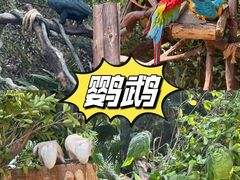 -广州长隆野生动物世界