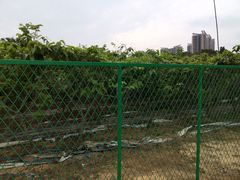 -南沙蒲洲花园