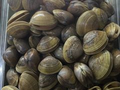 -锋味海鲜菜馆