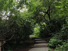 -大蜀山国家森林公园